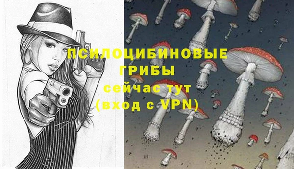 стафф Алзамай