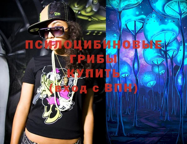 гидра Алексеевка