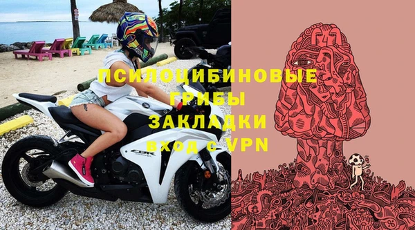 стафф Алзамай