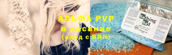 стафф Алзамай