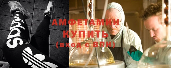 стафф Алзамай