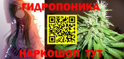 ПСИЛОЦИБИНОВЫЕ ГРИБЫ Кингисепп