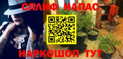 ПСИЛОЦИБИНОВЫЕ ГРИБЫ Кингисепп