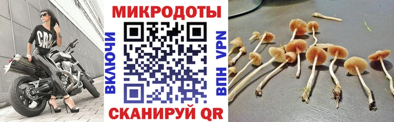 где купить наркотик  Тобольск  Галлюциногенные грибы MAGIC MUSHROOMS 